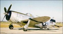 P47 D